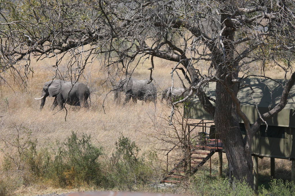 Nkasa Lupala Tented Lodge Sangwali Exteriör bild